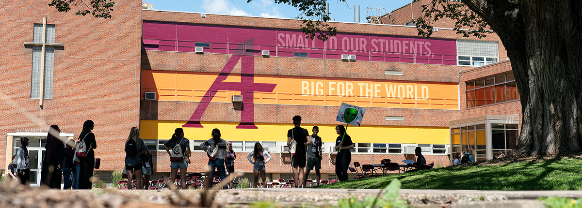 Students in the quad